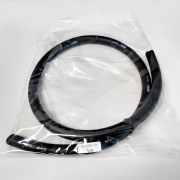 REAL / ALISON-12ch / 1M