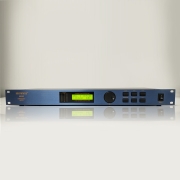 DS-202(977)